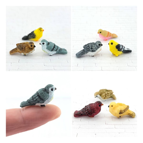 Miniature Birds,Dollhouse Bird,Fairy Garden Bird,Fairy Garden Accessories,Terrarium Supplies,Mini Birds