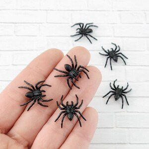 May include: Six black plastic spiders, each with eight legs and a shiny finish. The spiders are arranged on a hand, with some on the fingers and some on the palm.
