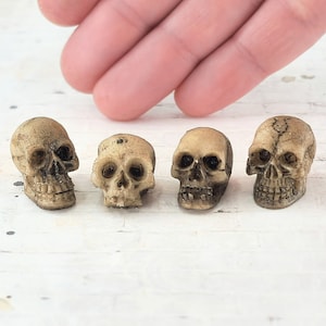 One Tiny Skull,Miniature Skulls,Dollhouse Halloween,Halloween Miniatures,Diorama,Halloween Craft Supply,Halloween Terrarium,Mini Human Skull