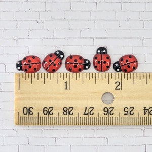 5 Miniature Ladybugs,Fairy Garden Accessories,Terrarium Supplies,Flatback Ladybugs,Ladybug Embellishments,Ladybug Cabochon,Craft Supplies