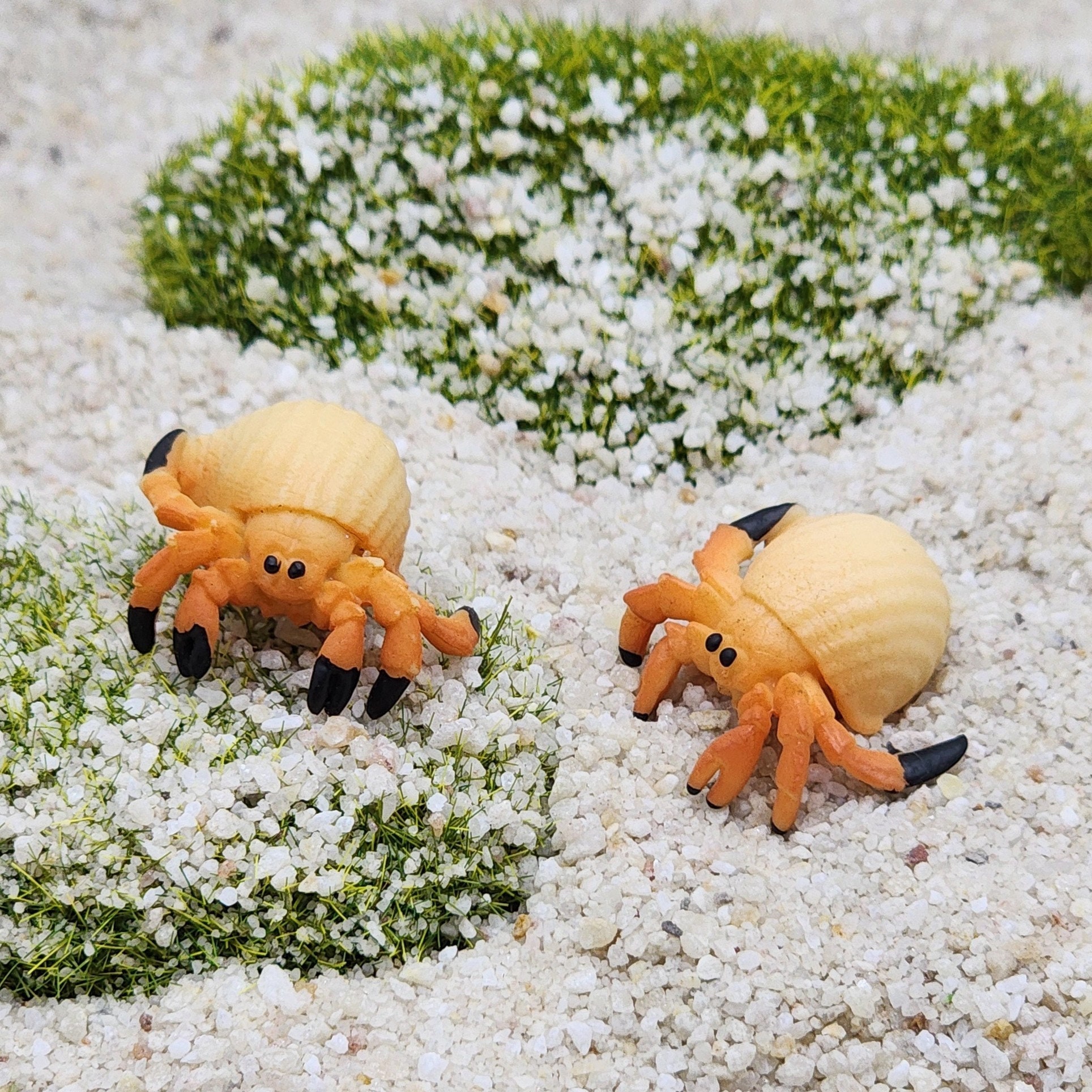 Mini Hermit Crab,miniature Crab,micro Animals,terrarium Supplies