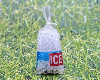 Miniature bag of ice,1:12 Scale Dollhouse Ice,Miniature Picnic,Miniature Camping,Miniature Beach Accessories