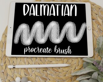 dalmatian brush