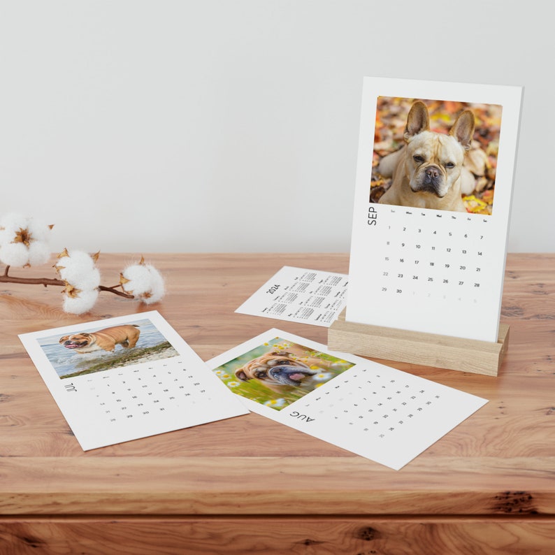 Bulldog 2024 Calendar Vertical Desk Calendar 2024 Etsy
