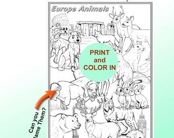 European Animals Coloring Page, Noah's Ark Activity (Digital Download)