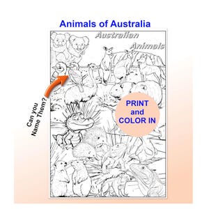 May include: Black and white coloring page titled "Animals of Australia" featuring various Australian animals like kangaroos, koalas, and emus. Includes text "Print and Color In" and "Can you Name Them?"