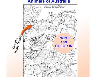 Australian Animals Coloring Page, Learn & Name (Digital Download)