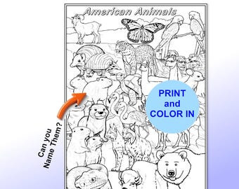 American Animals Coloring Page, Learn Names (Digital Download)