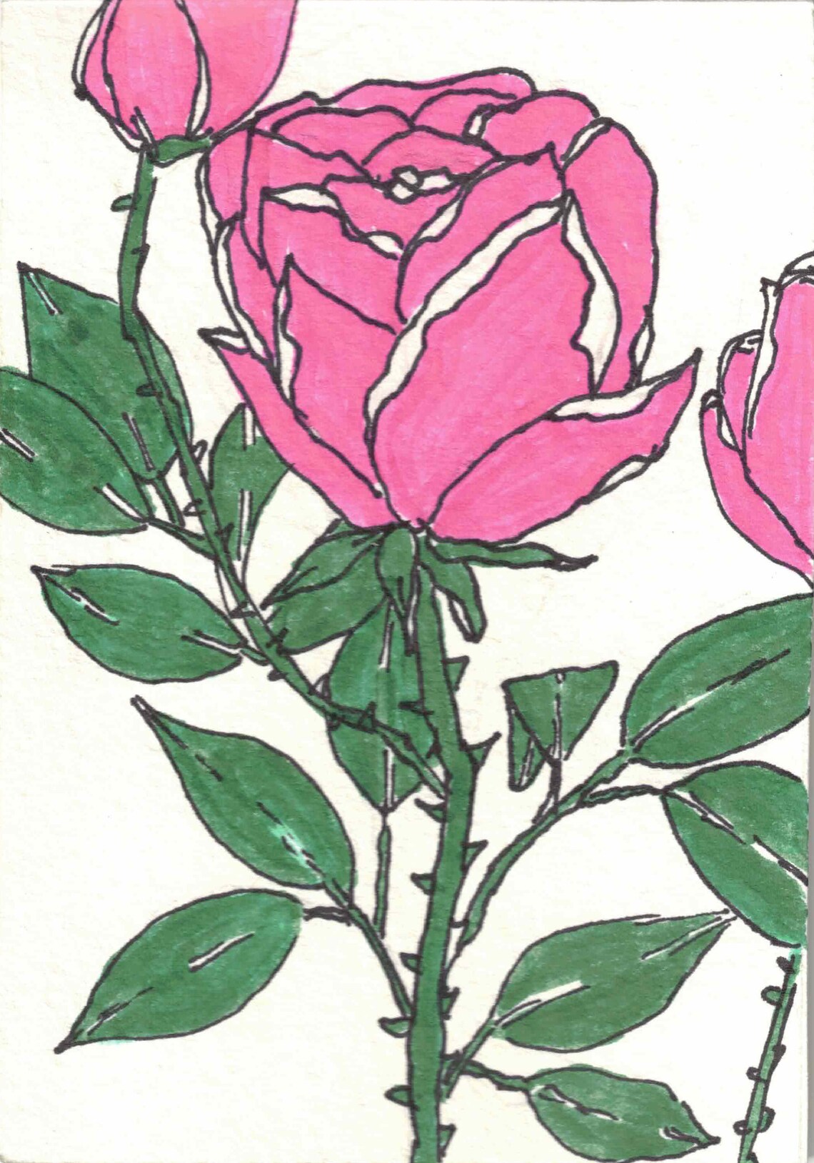 floral greeting card blank etsy