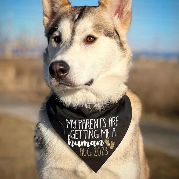 Dog Bandana, My Parents Are Getting Me a Human, custom Bandana, Pregnancy Announcement, Dog Owner Gift, dog bandana pregnancy announcement