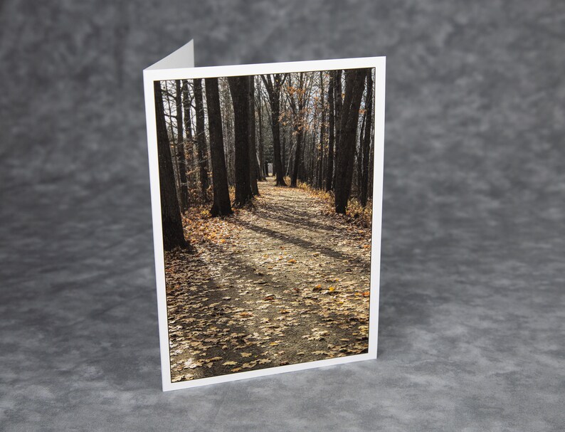 Light at the End of the Shadows/Blank Photo Greeting Card/Soft image 1