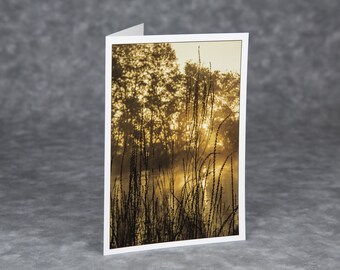 Loosestrife at Dawn/Sunrise/Blank Photo Greeting Card/Soft Matte Nice for Writing Notes/Fall doesn’t end til December/Nature Greeting Card