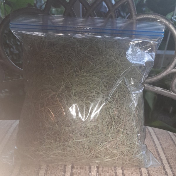 Spanish Moss Etsy