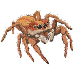 Puede incluir: Imagen bordada de una araña saltarina. La araña tiene un cuerpo marrón rojizo con marcas naranjas y beige. Tiene ojos grandes y negros y patas peludas. La araña está representada en un estilo detallado y realista, con un fondo blanco.