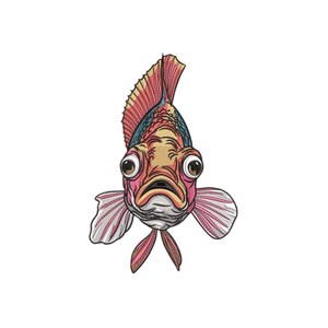 May include: A detailed illustration of a fish viewed from the front, featuring large dark eyes, a downturned mouth, and prominent scales. The fish has a tall dorsal fin with red and blue tones, and light pink pectoral and pelvic fins.