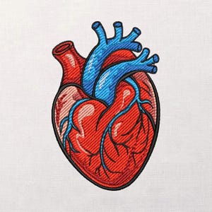 May include: Embroidered patch of a human heart, featuring red and blue veins and arteries. The heart's exterior is red with a black outline, and the veins are blue. The design is on a white background, showcasing the detailed stitching.