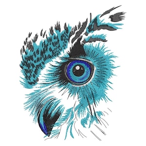 Owl Eye Embroidery Design, Modern Bird Machine Embroidery Pattern, Vibrant Forest Animal Stitch, Wildlife Art Threadwork