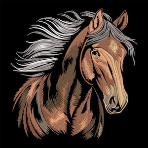 Guia Da Raça De Cavalo Paso Fino - Horse Life