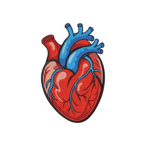 Może przedstawiać: Haftowana naszywka przedstawiająca anatomiczne ludzkie serce. Serce jest wykonane w żywym czerwonym kolorze z niebieskimi żyłami i tętnicami, posiada grubą czarną obwódkę oraz szczegółowe przeszycia krzyżykowe na wzorze.