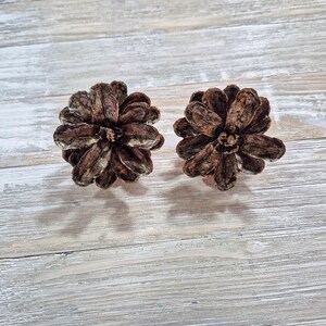 May include: Two brown pine cone ornaments with a textured surface. The pine cones are arranged on a light gray wooden surface. The ornaments are a natural brown color.