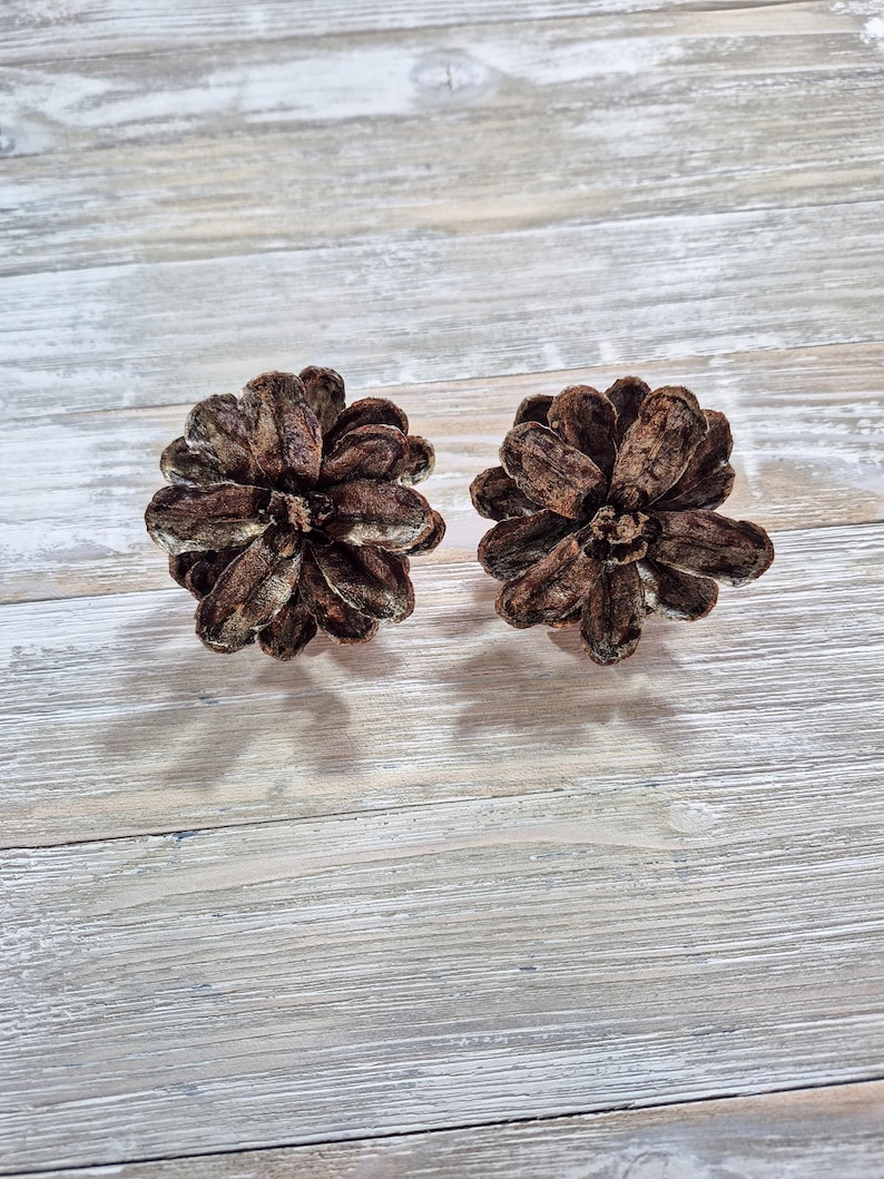 May include: Two brown pine cone ornaments with a textured surface. The pine cones are arranged on a light gray wooden surface. The ornaments are a natural brown color.