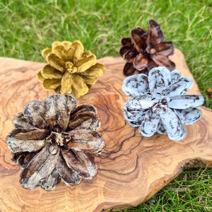 May include: Four painted pine cones in gold, brown, blue, and a natural brown color are arranged on a wooden cutting board. The cones are displayed on a wooden surface with a green grass background. The cones are a decorative item.