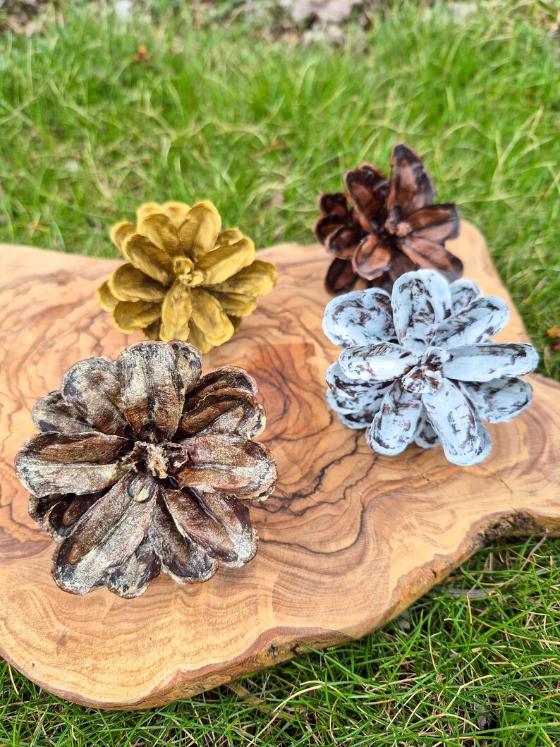 May include: Four painted pine cones in gold, brown, blue, and a natural brown color are arranged on a wooden cutting board. The cones are displayed on a wooden surface with a green grass background. The cones are a decorative item.