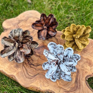 May include: Four painted pine cones in shades of brown, gold, and white with brown accents, arranged on a wooden cutting board. The pine cones are open, displaying their textured surfaces. The background is blurred green grass.