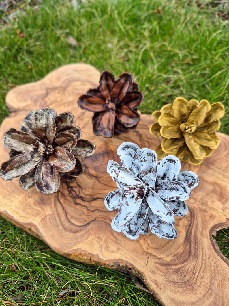 May include: Four painted pine cones in shades of brown, gold, and white with brown accents, arranged on a wooden cutting board. The pine cones are open, displaying their textured surfaces. The background is blurred green grass.
