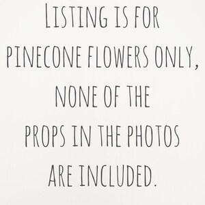 May include: White background with black text stating "LISTING IS FOR PINECONE FLOWERS ONLY, NONE OF THE PROPS IN THE PHOTOS ARE INCLUDED."