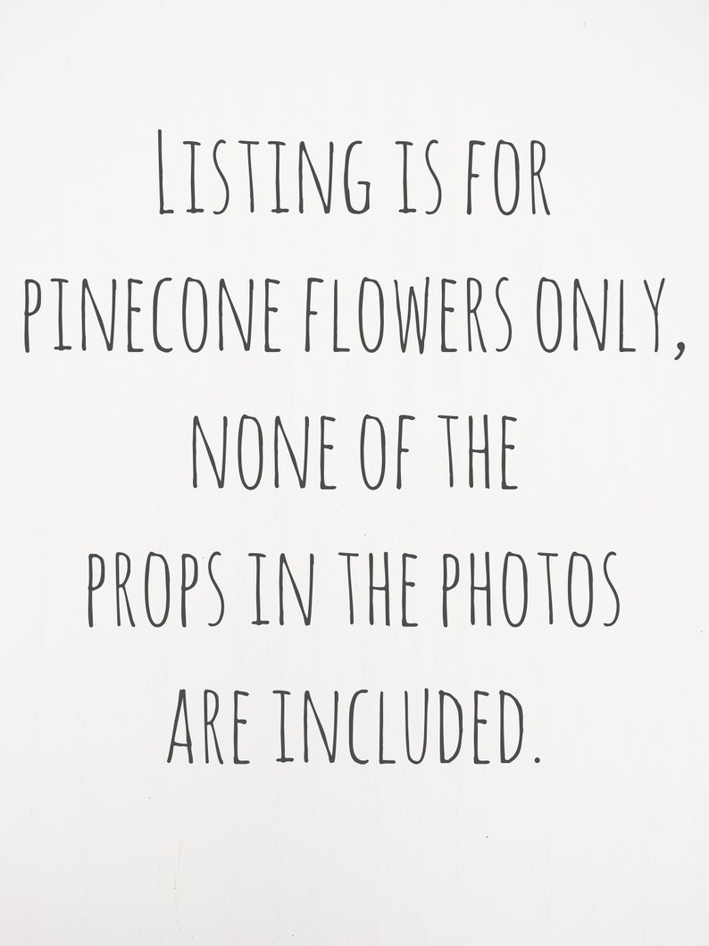 May include: White background with black text stating "LISTING IS FOR PINECONE FLOWERS ONLY, NONE OF THE PROPS IN THE PHOTOS ARE INCLUDED."