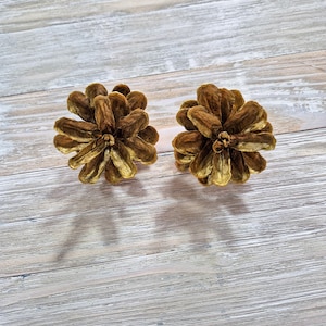 May include: Two decorative, golden-brown pine cone ornaments. The ornaments are detailed with textured scales and are set against a light-colored, wood-grain background. These ornaments are ideal for seasonal decor.