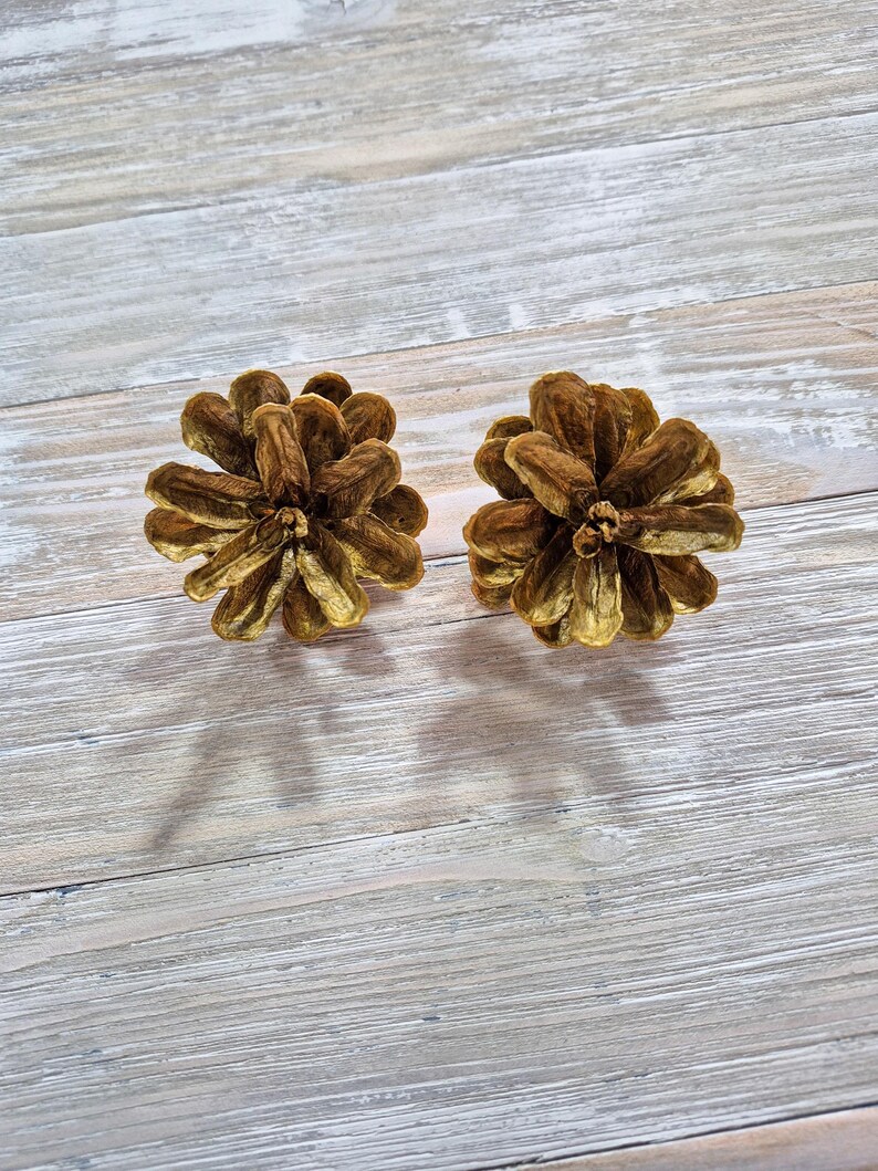 May include: Two decorative, golden-brown pine cone ornaments. The ornaments are detailed with textured scales and are set against a light-colored, wood-grain background. These ornaments are ideal for seasonal decor.
