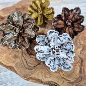 May include: Close-up of five decorative pine cones in various colors. The pine cones are painted in shades of brown, gold, and white. They are arranged on a wooden surface with a natural wood grain pattern. The pine cones are a seasonal decorative item.