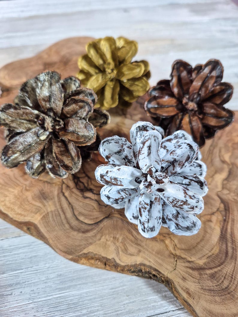 May include: Close-up of five decorative pine cones in various colors. The pine cones are painted in shades of brown, gold, and white. They are arranged on a wooden surface with a natural wood grain pattern. The pine cones are a seasonal decorative item.