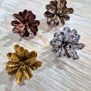 May include: Four decorative pine cones in varying colors: dark brown, light brown, gold, and gray with white accents. The pine cones are arranged on a light gray and white wooden surface. The cones are detailed and textured.