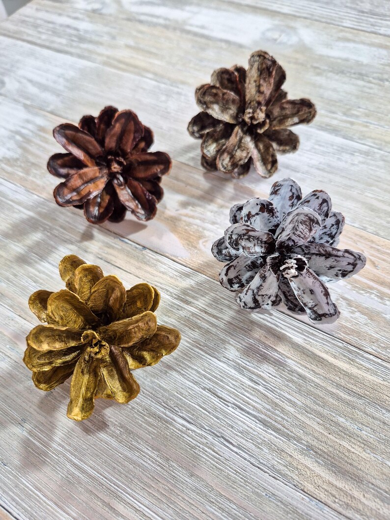 May include: Four decorative pine cones in varying colors: dark brown, light brown, gold, and gray with white accents. The pine cones are arranged on a light gray and white wooden surface. The cones are detailed and textured.