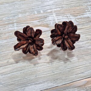 May include: Two dark brown, flower-shaped decorative objects with textured petals. The objects are set against a light gray, weathered wood background. The objects appear to be made of a natural material.
