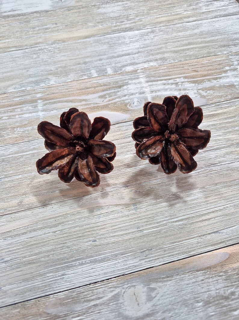 May include: Two dark brown, flower-shaped decorative objects with textured petals. The objects are set against a light gray, weathered wood background. The objects appear to be made of a natural material.