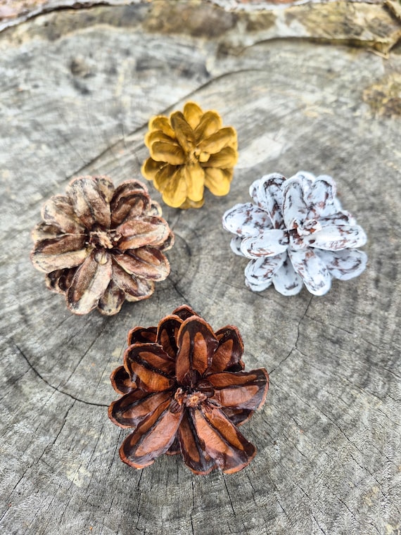 Pinecone flowers, set of four flowers, wedding decor, rustic decor, wreath making supplies, pinecone flowers for crafting