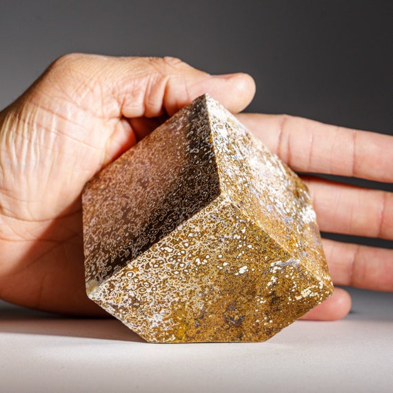 オーシャンジャスパー ピラミッド マダガスカル産の研磨済みオーシャンジャスパーピラミッド（1.3 ポンド