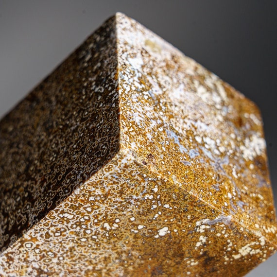 マダガスカル産の研磨済みオーシャンジャスパーピラミッド（1.3 ポンド