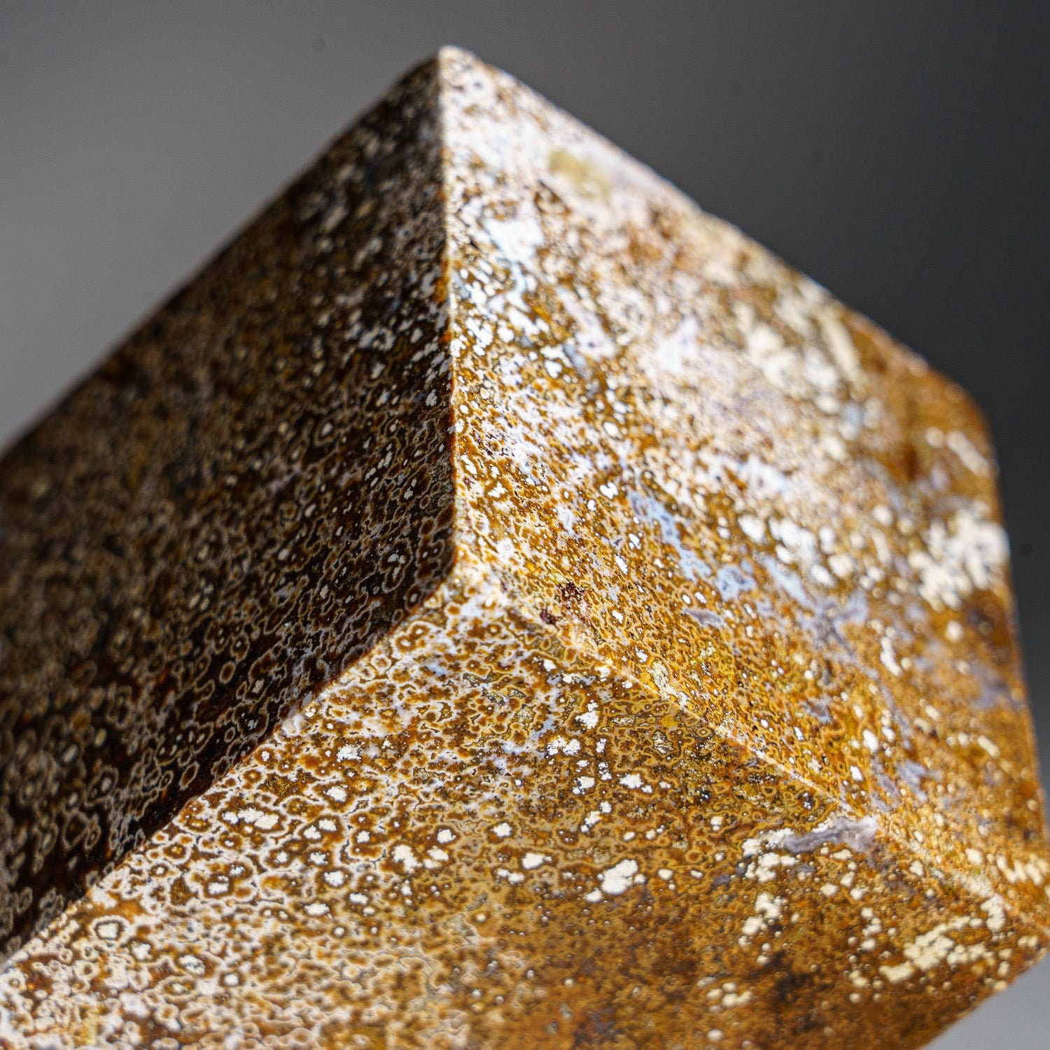 オーシャンジャスパー ピラミッド マダガスカル産の研磨済みオーシャンジャスパーピラミッド（1.3 ポンド