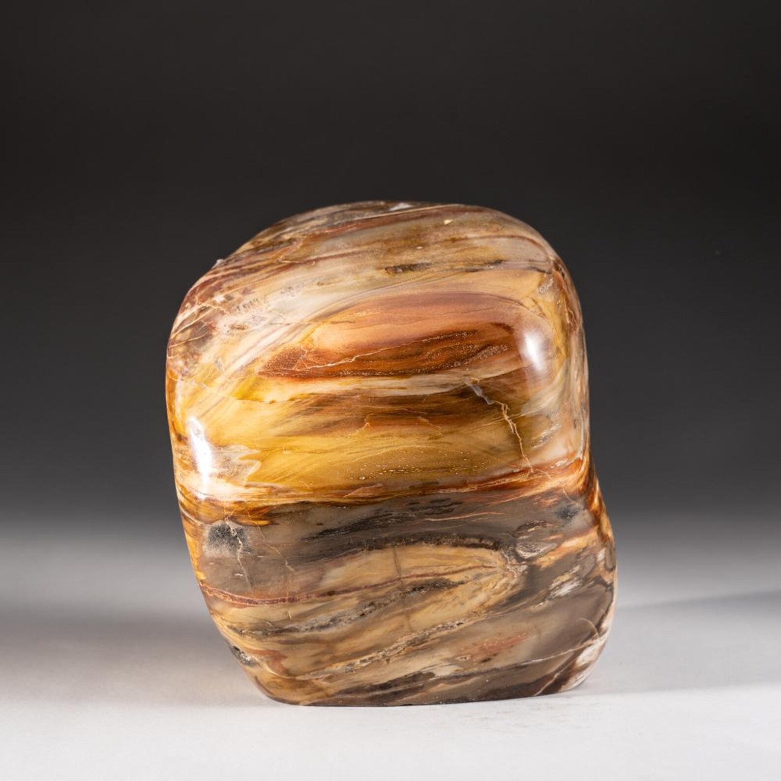 Polished Petrified Wood Freeform from Madagascar 9 lbs Etsy