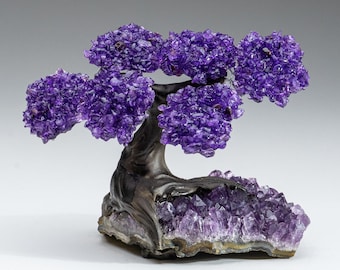 Genuine Amethyst Clustered Gemstone Tree on Amethyst Matrix (The Protection Tree) 4"