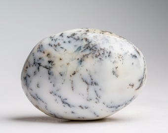 Genuine Polished Dendritic Agate Palm Crystal