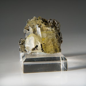 Puede incluir: Un grupo de cristales transparentes y amarillos con una matriz gris oscura. Los cristales están sobre un soporte de exhibición transparente.