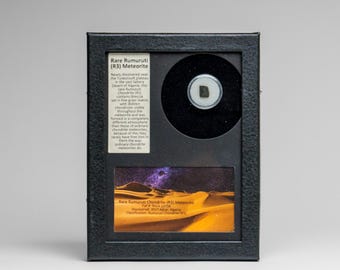 本物のファコピダ三葉虫化石（32.6 グラム） - Etsy 日本