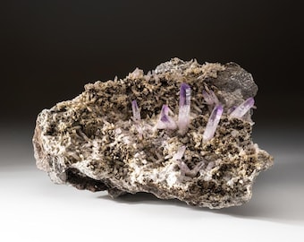May include: A cluster of amethyst crystals on a matrix of gray and brown rock. The amethyst crystals are a deep purple color and have a sharp, pointed shape.