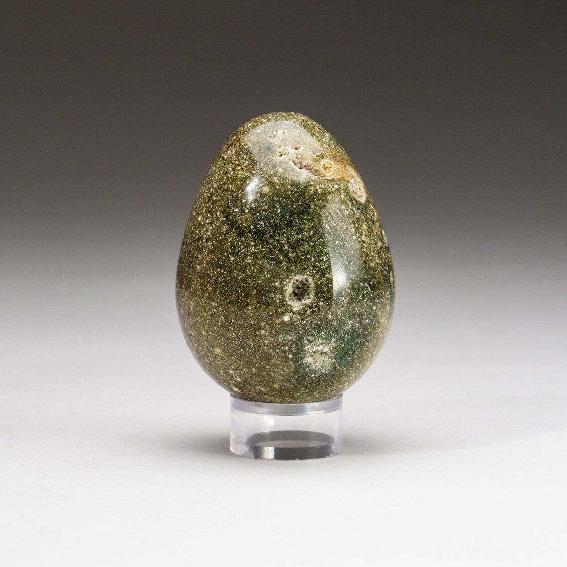 Genuine Polished Ocean Jasper Egg 203 Grams OJE3 Etsy